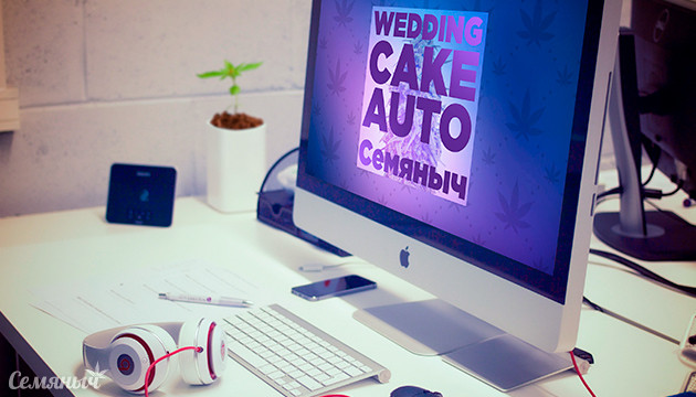 Гроурепорт сорта Wedding Cake Auto fem от Семяныча